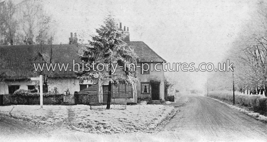 Station Road, Felsted, Essex. c.1906